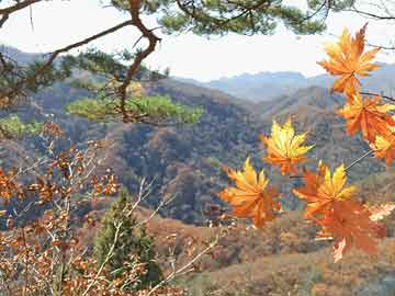 野村改组外汇和新兴市场交易部门高层 两名高管在9个月内相继离职